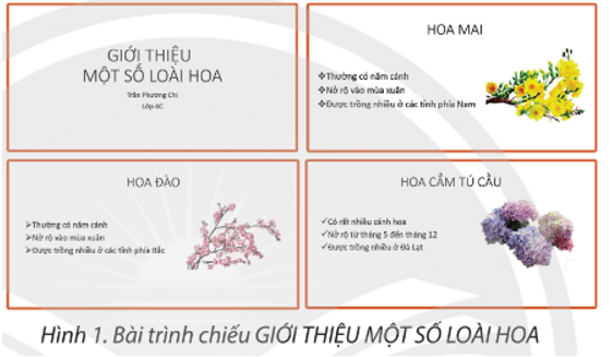 Tin học lớp 4 Chân trời sáng tạo Bài 9: Bài trình chiếu của em