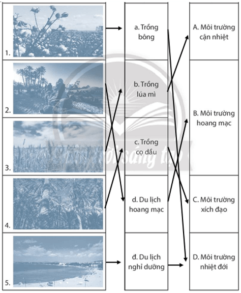 Hãy nối các hình (ở cột A) với các thông tin tương ứng (ở cột B và C)