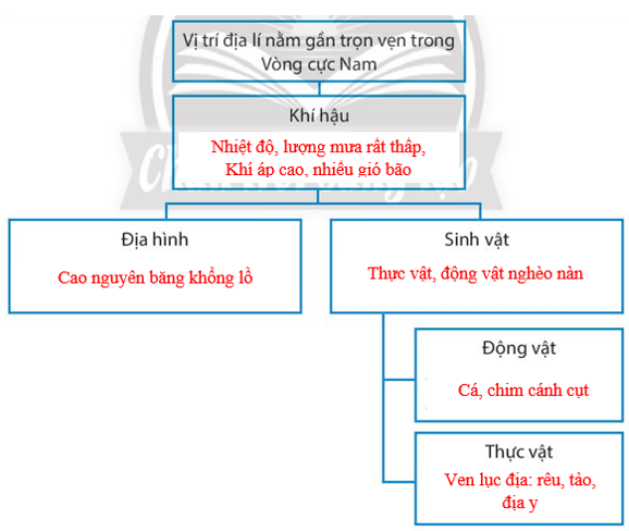 Hãy sử dụng các từ đã cho trong hộp thông tin bên dưới để hoàn thành sơ đồ về mối quan hệ