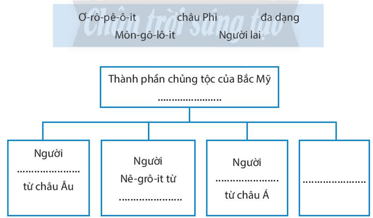 Hãy sử dụng những từ đã cho trong hộp thông tin để hoàn thành sơ đồ dưới đây