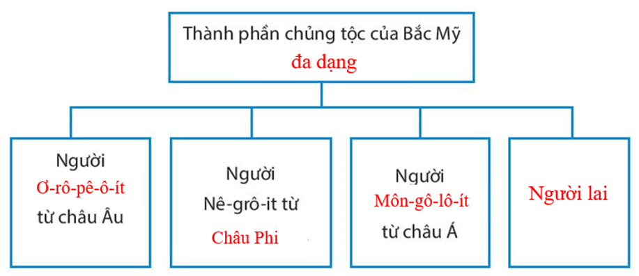 Hãy sử dụng những từ đã cho trong hộp thông tin để hoàn thành sơ đồ dưới đây