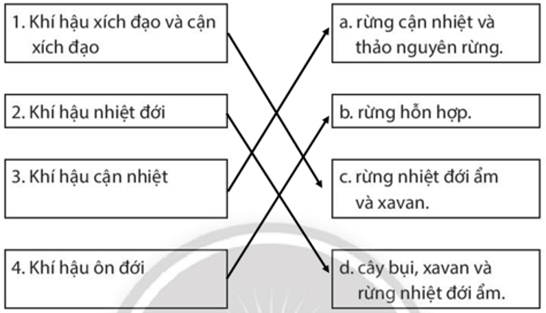 Hãy nối các ô ở bên trái với các ô ở bên phải cho phù hợp