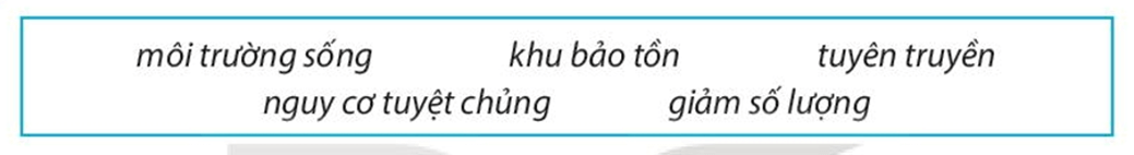 Hãy sử dụng những cụm từ sau để hoàn thành đoạn thông tin trang 34 SBT Địa lí 7