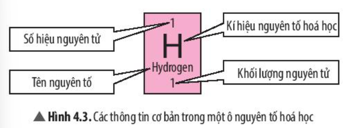  (ảnh 2)