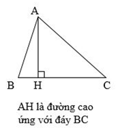 Lý thuyết Hình tam giác. Diện tích hình tam giác lớp 5 (ảnh 1)