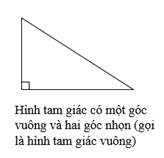 Lý thuyết Hình tam giác. Diện tích hình tam giác lớp 5 (ảnh 1)