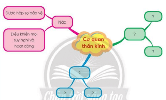 Tự nhiên xã hội lớp 3 Bài 25 trang 106 Câu 1 | Chân trời sáng tạo