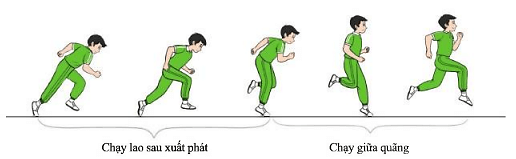 Giáo dục thể chất 7 Bài 2: Phối hợp trong giai đoạn chạy lao sau xuất phát và chạy giữa quãng | Cánh diều