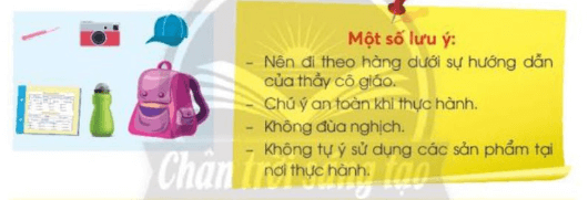 Tự nhiên xã hội lớp 3 Bài 13 trang 56 Câu 1 - Chân trời sáng tạo