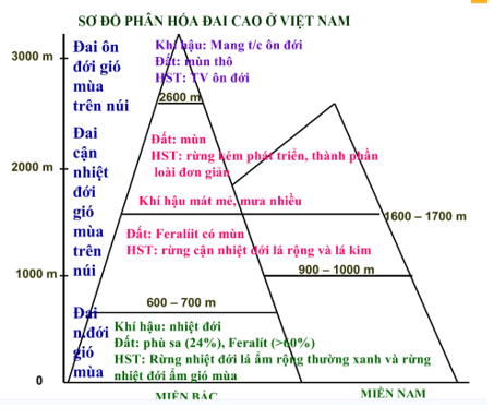 Lập sơ đồ thể hiện sự phân hoá tự nhiên theo đai cao ở nước ta