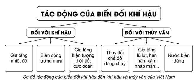 Vẽ sơ đồ thể hiện tác động của biến đổi khí hậu đến khí hậu và thuỷ văn Việt Nam