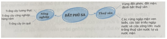 Hoàn thành sơ đồ theo mẫu sau về giá trị sử dụng của đất phù sa