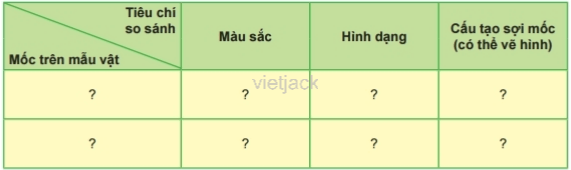 Mô tả các loại nấm mốc trên mẫu vật đã chuẩn bị theo các tiêu chí trong bảng sau