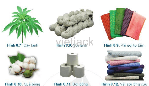 Hãy sắp xếp các Hình 8.1 đến Hình 8.12 để thể hiện mối quan hệ