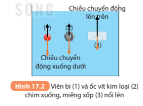 Hãy biểu diễn các lực tác dụng vào viên bi, ốc vít kim loại