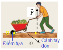 Xác định điểm tựa, cánh tay đòn trong các trường hợp ở Hình 19.2