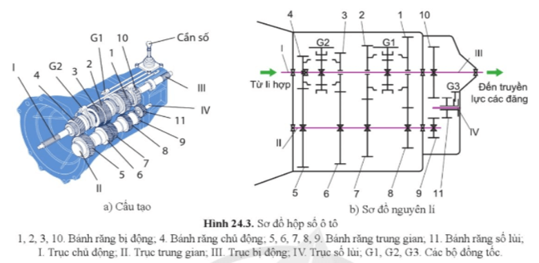 Nêu vai trò của bánh răng (11) ở hình 24.3