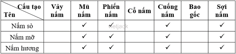 Dựa trên kết quả quan sát các thành phần cấu tạo của mỗi mẫu nấm đã chuẩn bị