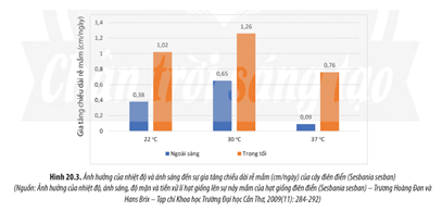 Quan sát Hình 20.2 20.3 và 20.4 phân tích sự ảnh hưởng của các yếu tố môi trường đến sinh trưởng và phát triển ở thực vật