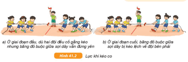 Hãy so sánh độ lớn lực kéo của hai đội kéo co trong Hình 41.2a và 41.2b