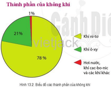 Dựa vào hình 13.2, hãy cho biết không khí gồm những thành phần nào