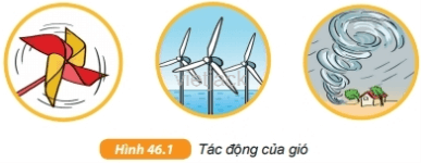 Quan sát và đọc phần mô tả trong Hình 46.1, rồi thảo luận nhóm để làm sáng tỏ hai ý