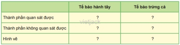 Dựa vào hình ảnh quan sát được, em hãy nêu các thành phần của mỗi loại tế bào rồi hoàn thành 