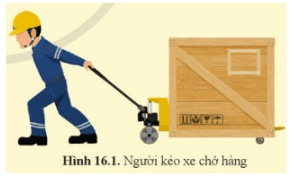 Ở hình 16.1 lực nào sau đây không phải là áp lực? Vì sao?