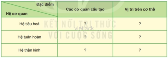 Dựa vào kết quả quan sát mô hình hoặc tranh, ảnh một số hệ cơ quan trong cơ thể người