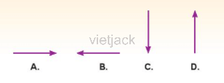 Các lực vẽ trong một mặt phẳng đứng dưới đây, lực nào có thể là lực hút của Trái Đất? Vì sao