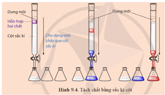 Quan sát Hình 9.4 và cho biết trong điều kiện thí nghiệm