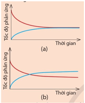 Cho hai đồ thị a và b dưới đây Mỗi đồ thị biểu diễn sự thay đổi tốc độ