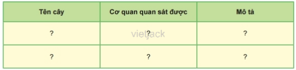 Từ kết quả quan sát của một số cây, hoàn thành bảng theo mẫu sau