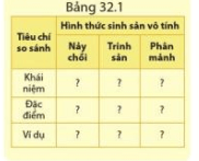 Quan sát hình 32.3 và phân biệt các hình thức sinh sản vô tính ở động vật