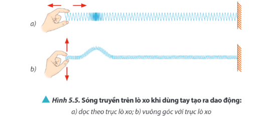 Quan sát Hình 5.5 hãy so sánh phương truyền sóng và phương dao động của từng điểm