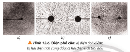 Dựa vào hình ảnh điện phổ quan sát được ở Hình 12.6, ta có thể kết luận được dấu của mỗi điện tích không