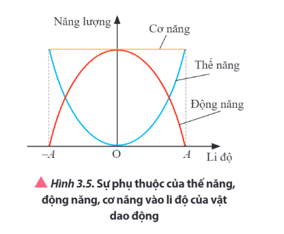 Quan sát Hình 3.5 và mô tả sự thay đổi của động năng và thế năng khi vật dao động di chuyển 