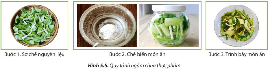 Câu hỏi 5 trang 35 Công nghệ lớp 6