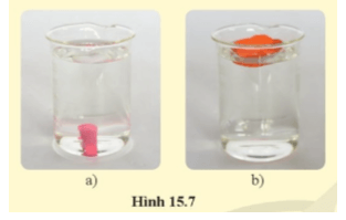 Thả một miếng đất nặn vào nước thì bị chìm hình 15.7a. Vì sao cũng số lượng đất nặn ấy được nặn thành vật như hình 15.7b thì lại nổi trên nước?