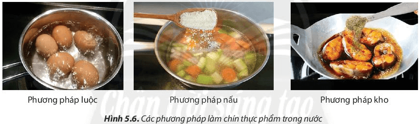 Câu hỏi 6 trang 36 Công nghệ lớp 6