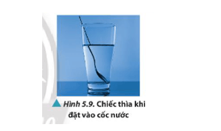 Quan sát Hình 5.9 nhận xét về hình dạng của chiếc thìa