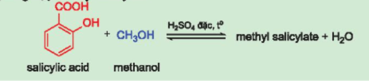 Methyl salicylate là hợp chất thuộc loại ester được dùng làm cao dán giảm đau, kháng viêm ngoài da