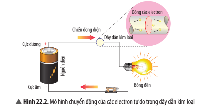 Quan sát Hình 22.2 và cho biết các electron tự do bị cực nào của pin đẩy