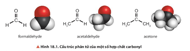 Quan sát Hình 18.1, nhận xét đặc điểm chung về cấu tạo của formaldehyde, acetaldehyde (aldehyde) và acetone