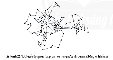 Trong thí nghiệm Brown (Hình 26.1), các hạt phấn hoa trong nước chuyển động như thế nào