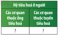 Hoàn thành bảng sau trang 142 sách giáo khoa KHTN 8