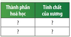 Xác định thành phần hóa học và tính chất của xương bằng cách hoàn thành bảng sau