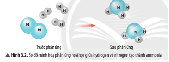 Quan sát Hình 3.2, hãy cho biết