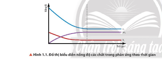 Quan sát Hình 1.1, nhận xét sự biến thiên nồng độ của các chất trong hệ phản ứng