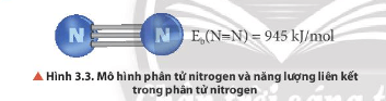 Quan sát Hình 3.3 và từ dữ kiện năng lượng liên kết trong phân tử N2